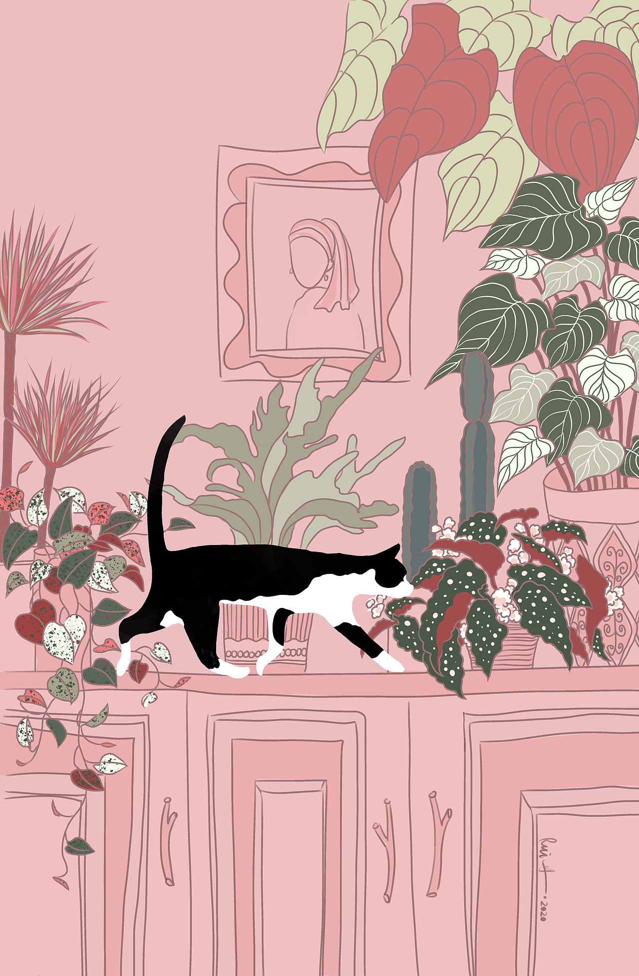 猫与植物系列001-003
