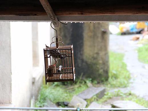 蘇杭（個(gè)人主頁-ZMjg0ODYwMjg=） - 風(fēng)光攝影 - 站酷設(shè)計(jì)師15104712062CVB原創(chuàng)素材 - 站酷ZCOOL