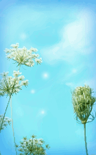 那些年我们用过的像素QQ秀（场景）