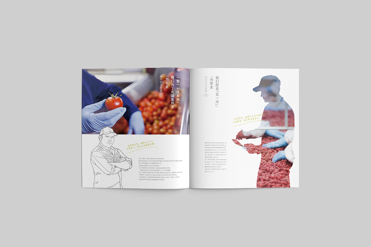 农产品画册设计（图ZMTIxNjI5MDIw） - 书籍/画册 - 站酷设计师钟文Oliver原创素材 - 站酷ZCOOL