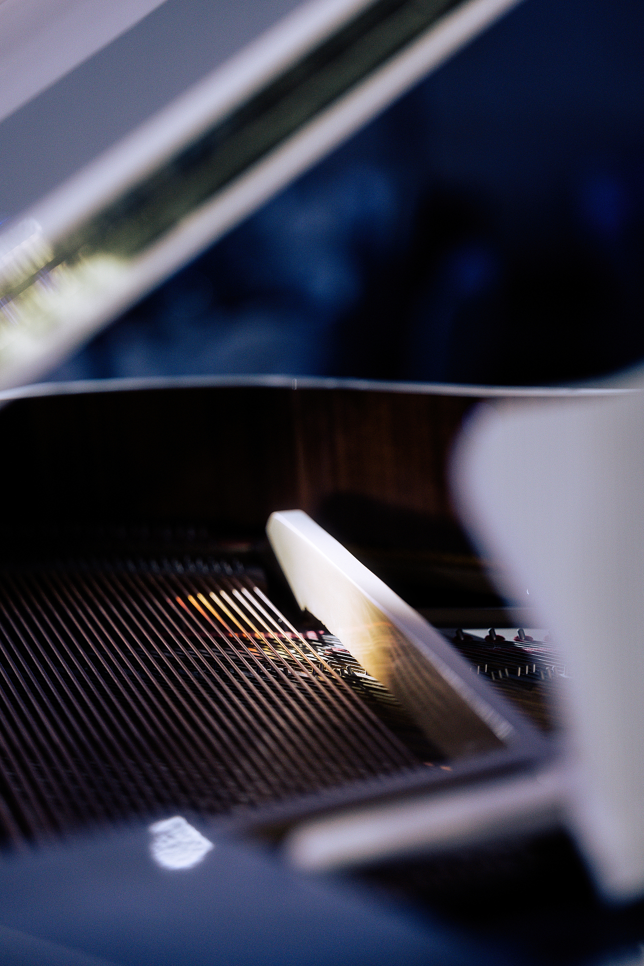 / 一些婚礼上的碎片时间 /