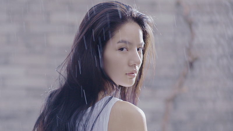 容品牌：雨林古茶坊-雨林日历产品策划＆包装设计（图ZOTY4OTM0MTI=） - 包装 - 站酷设计师容品牌原创素材 - 站酷ZCOOL