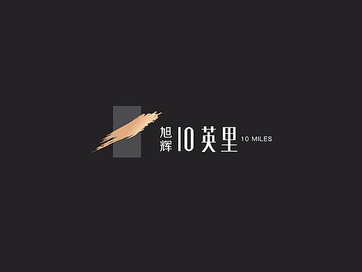 旭辉地产-旭辉17英里VI提案