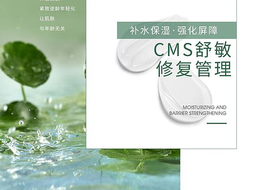 绿色系皮肤管理详情页
