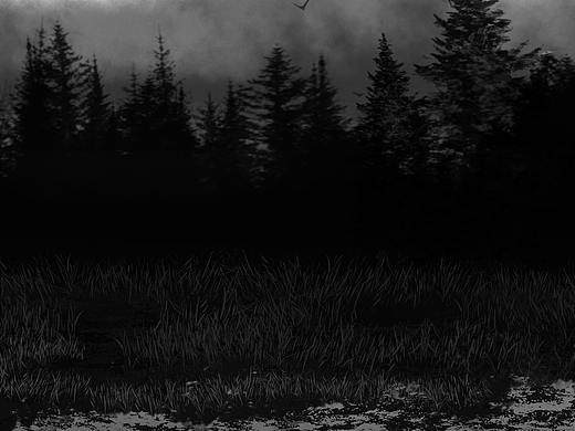 风景练习——夜景森林（个人主页-ZNTU2NTc0MDg=） - 创作习作 - 站酷设计师懒匠工作室原创素材 - 站酷ZCOOL