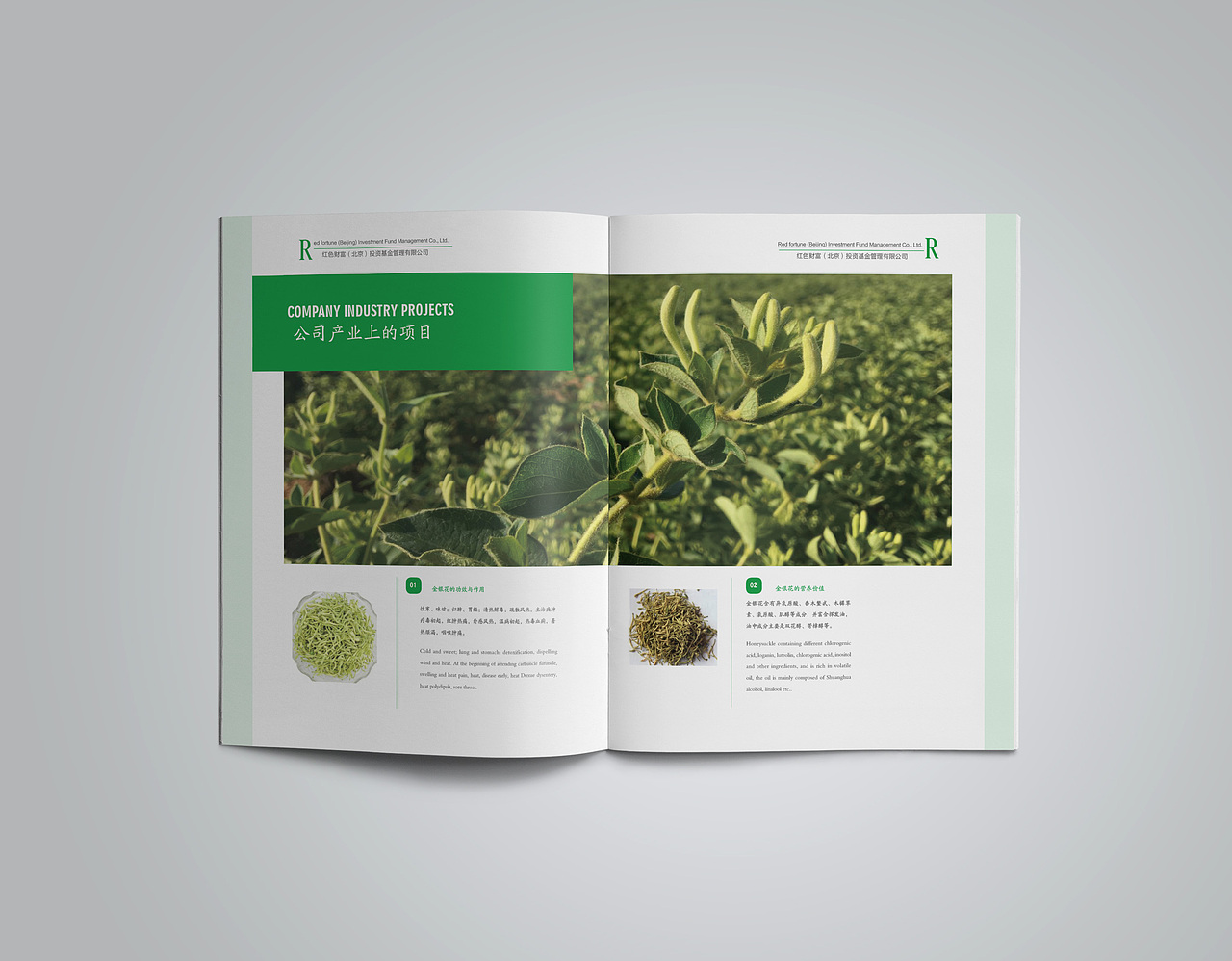 红色财富的项目画册（图ZNzAzNDY1MDQ=） - 品牌 - 站酷设计师zfj奋斗的小丑原创素材 - 站酷ZCOOL