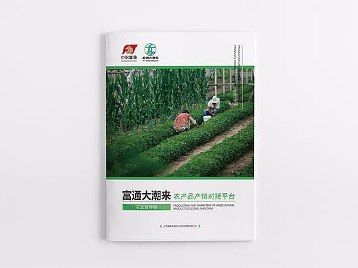 近期-农产品画册