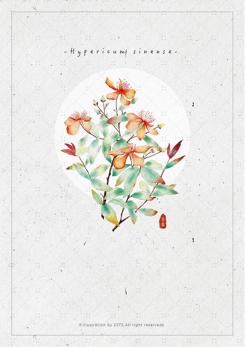 那些花儿-肆（图ZMTM3OTM5OTky） - 创作习作 - 站酷设计师ESTS原创素材 - 站酷ZCOOL