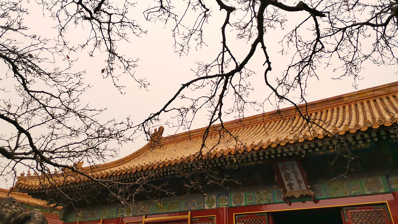 故宫-柿子红了（图ZMTg2MzA2NTU2） - 人文/纪实摄影 - 站酷设计师嗨皮工坊原创素材 - 站酷ZCOOL