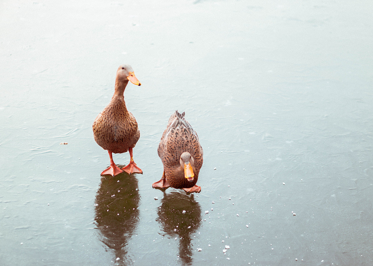 只是记录一下生活。（图ZMzkxMTQyNDA=） - 其他摄影 - 站酷设计师懂小白原创素材 - 站酷ZCOOL