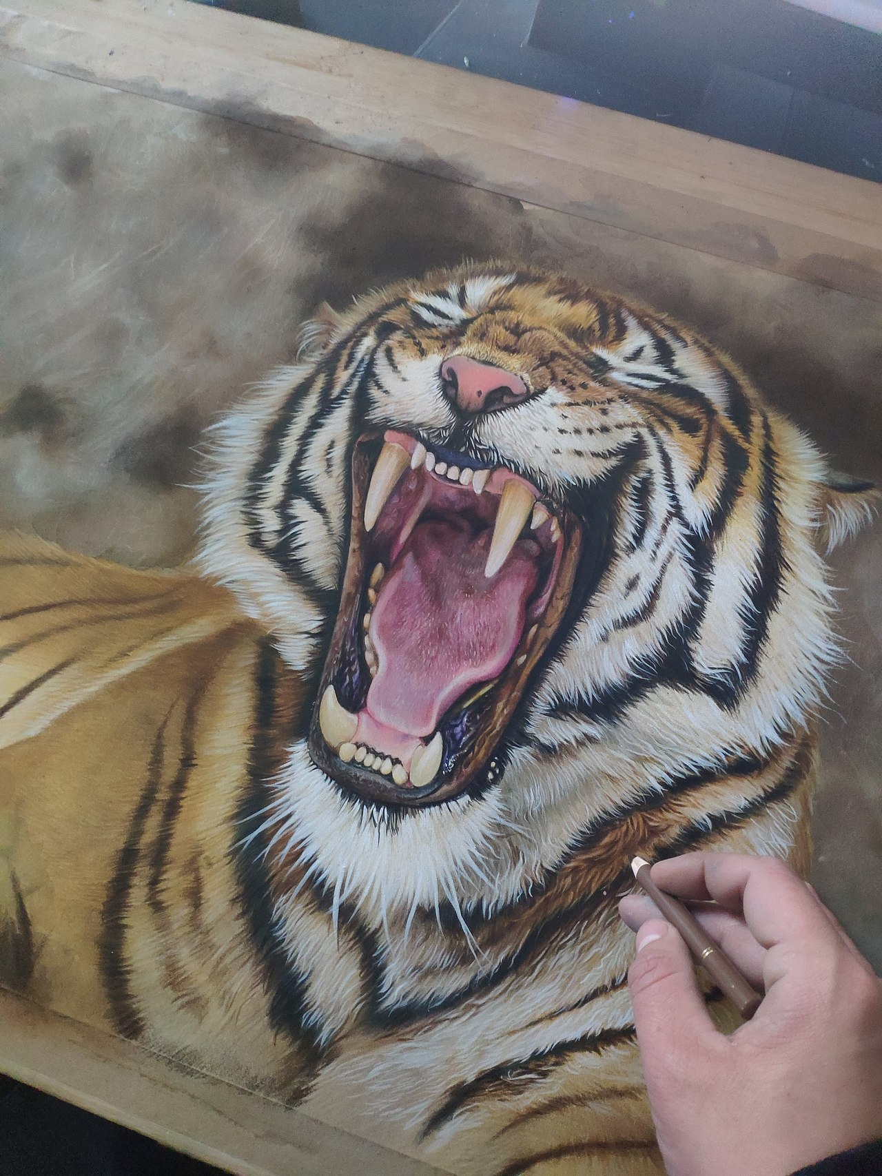 彩铅老虎（图ZMjczNzIwNzAw） - 绘画 - 站酷设计师马行画彩铅原创素材 - 站酷ZCOOL