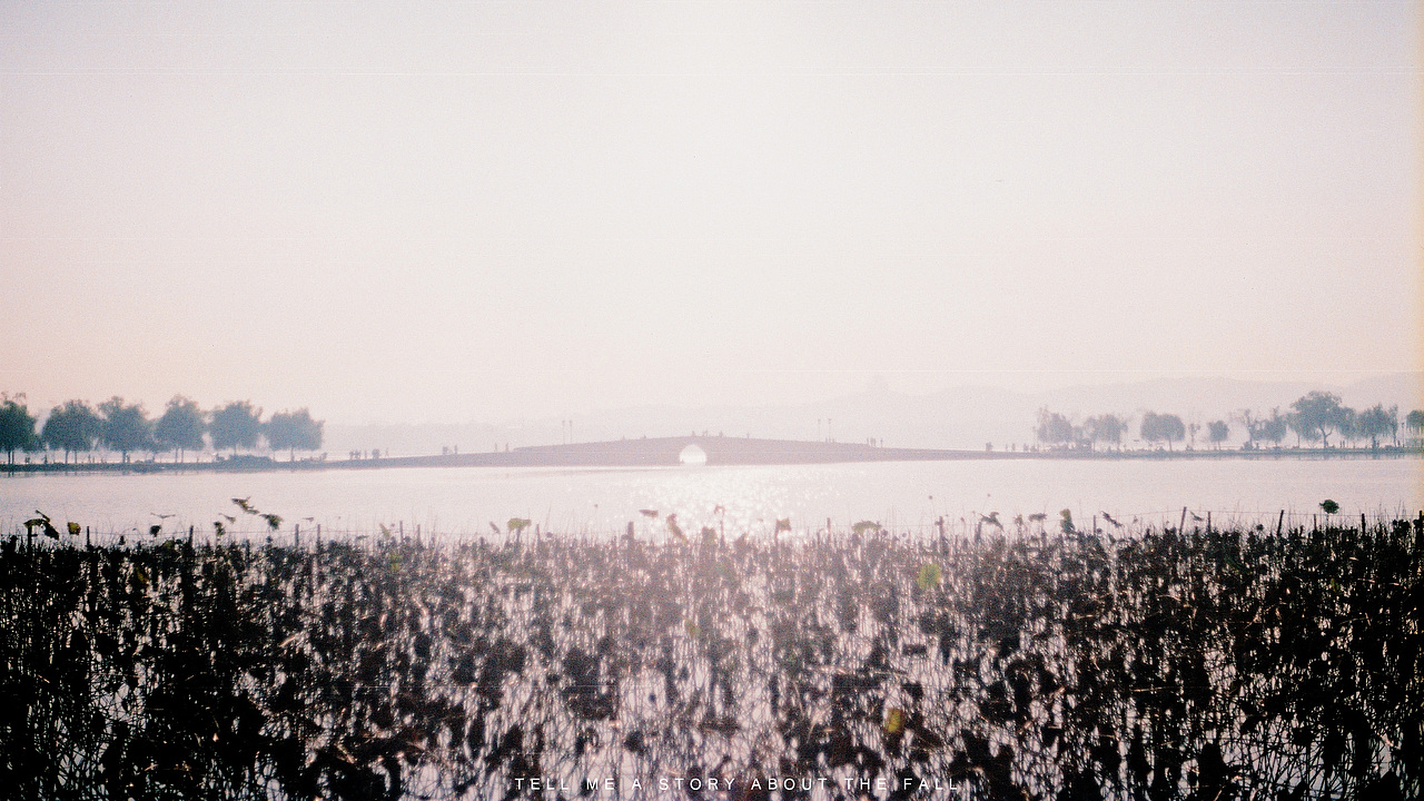 讲一个秋天的故事