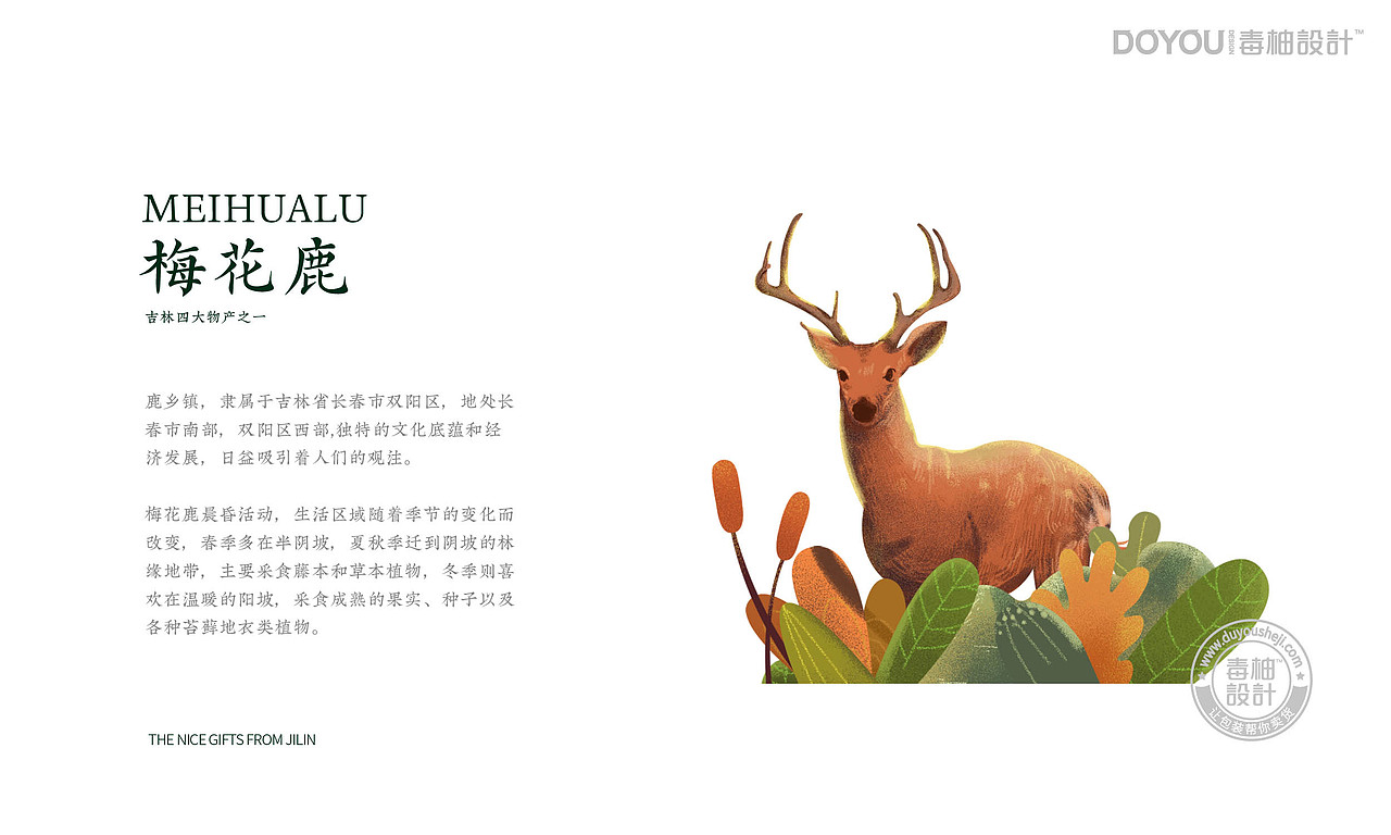 吉林好礼×毒柚设计/物华天宝，美丽吉林，东北文创设计（图ZMjQ4NDU2MzY4） - 包装 - 站酷设计师毒柚包装设计原创素材 - 站酷ZCOOL