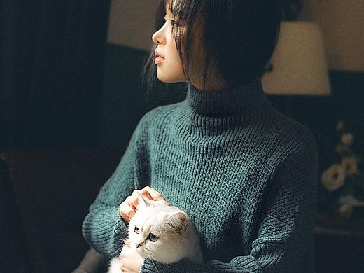 下雨天和猫