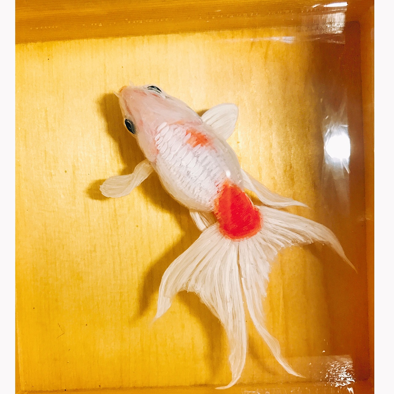 树脂画树脂金鱼