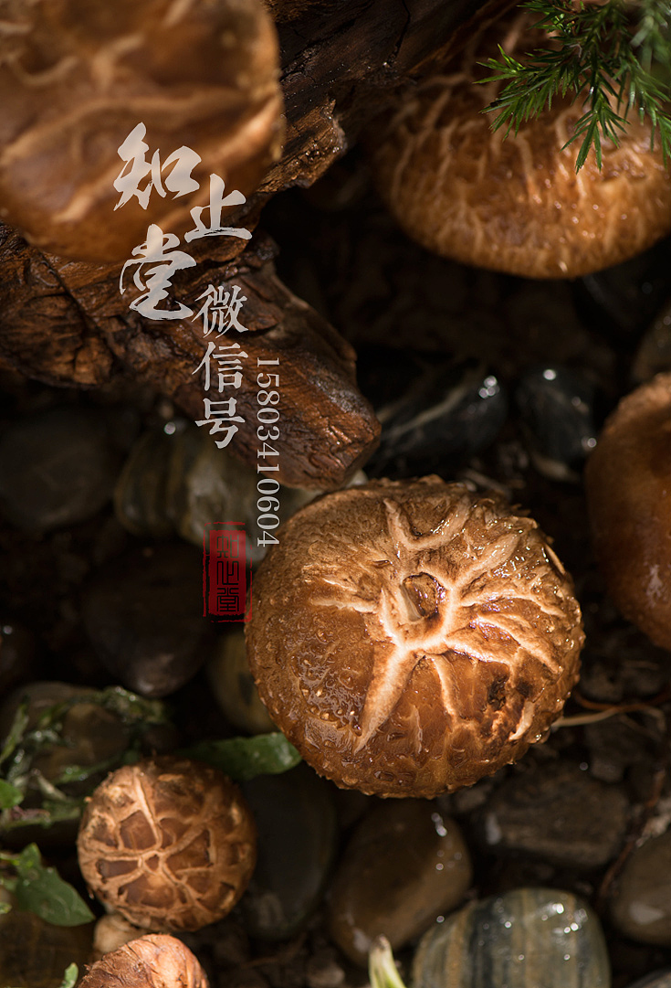太原美食摄影电商食品拍照外卖菜品拍摄菜谱设计制作（图ZMTE1MDQ2NjQw） - 产品摄影 - 站酷设计师知止堂原创素材 - 站酷ZCOOL