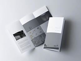 深圳設(shè)計(jì)周，設(shè)計(jì)的可能-自制宣傳折頁(yè)