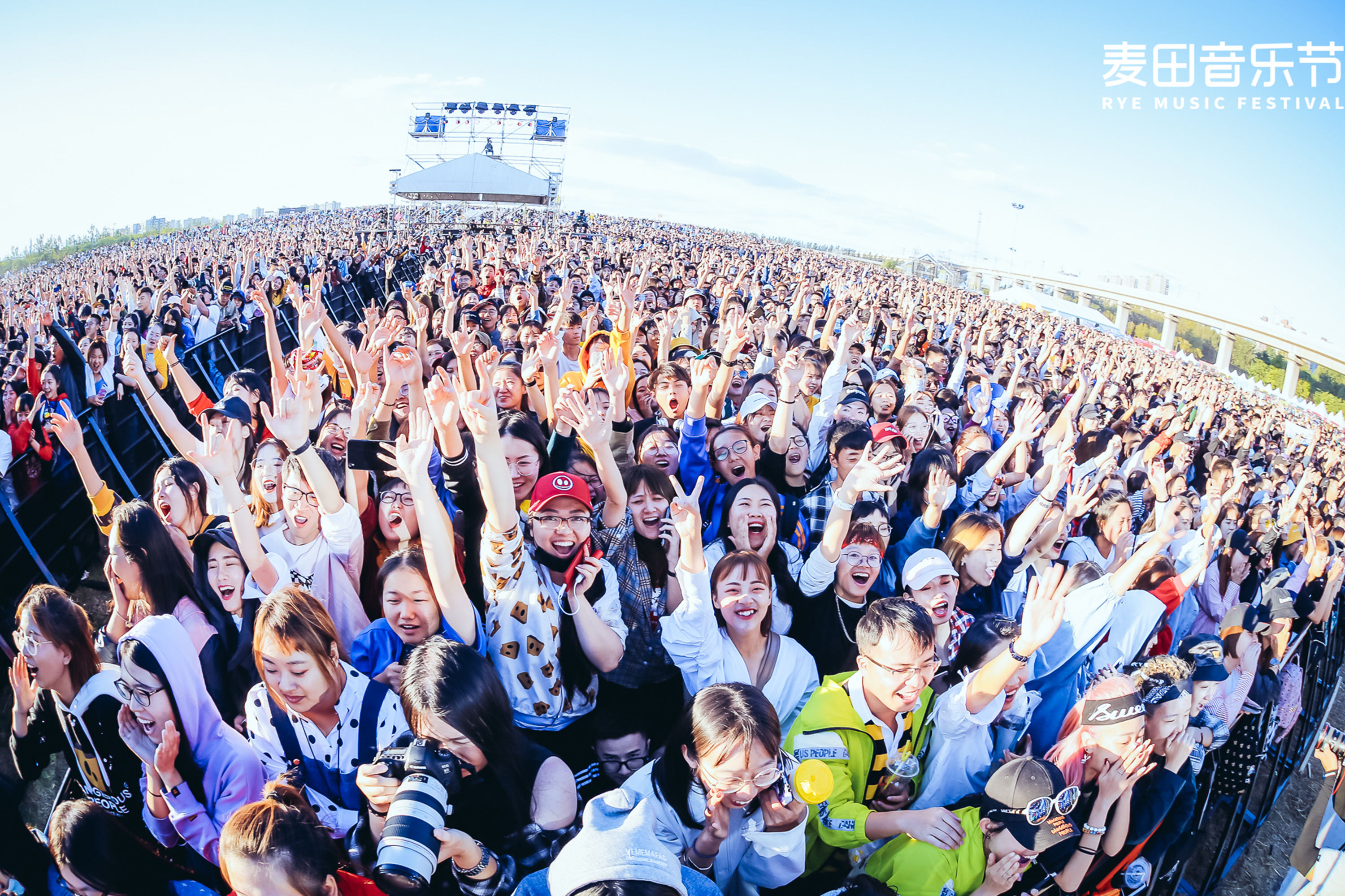 麦田音乐节全案