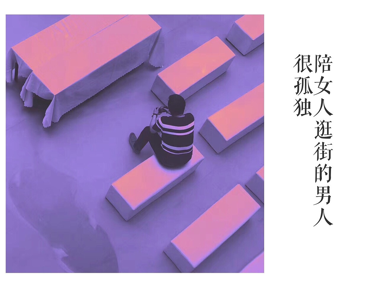 《2017年11月手机摄影精选》