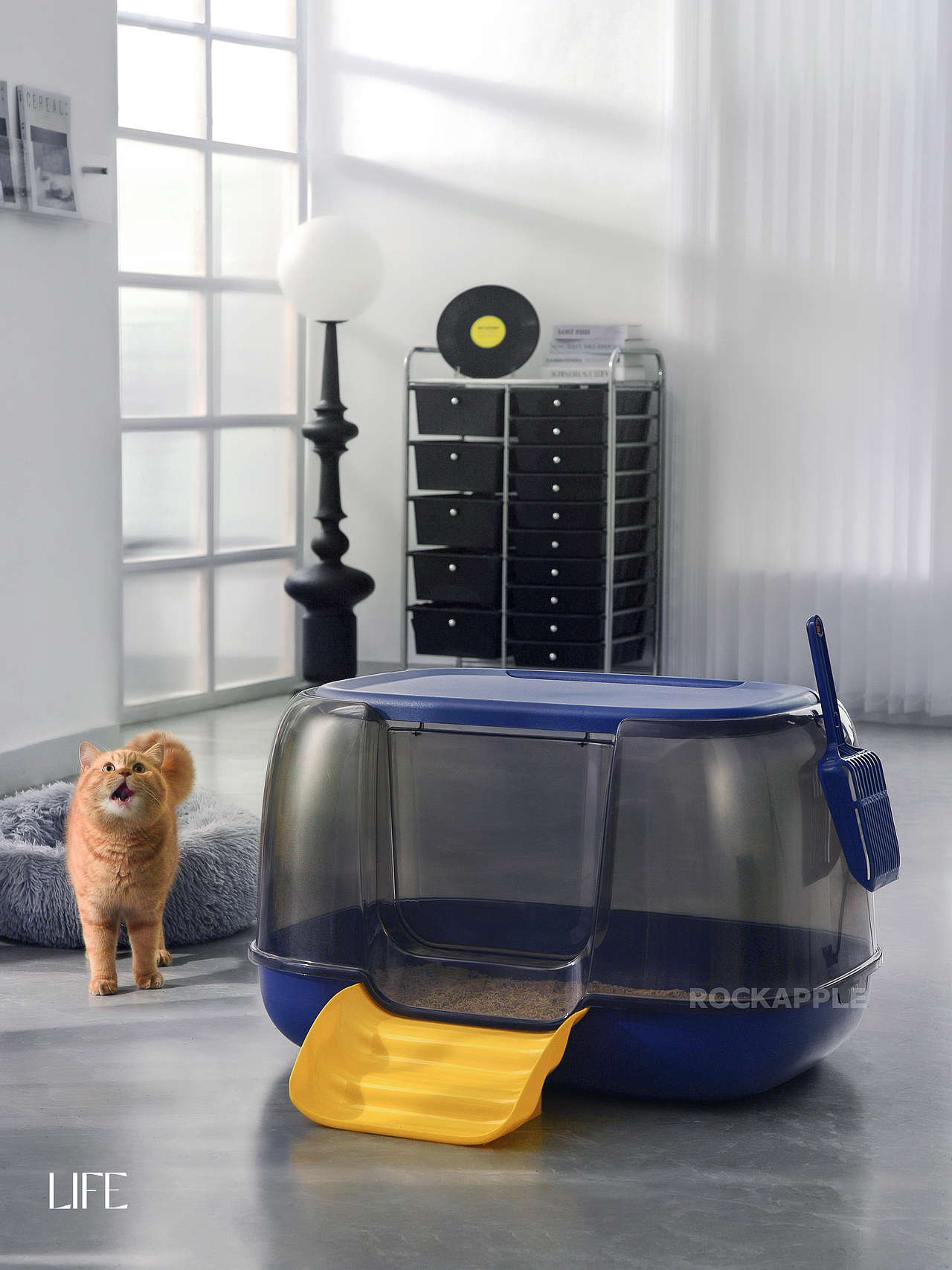 多巴胺喵咪用品（图ZMzc3NTk1Njc2） - 产品摄影 - 站酷设计师烧焦的Apple原创素材 - 站酷ZCOOL