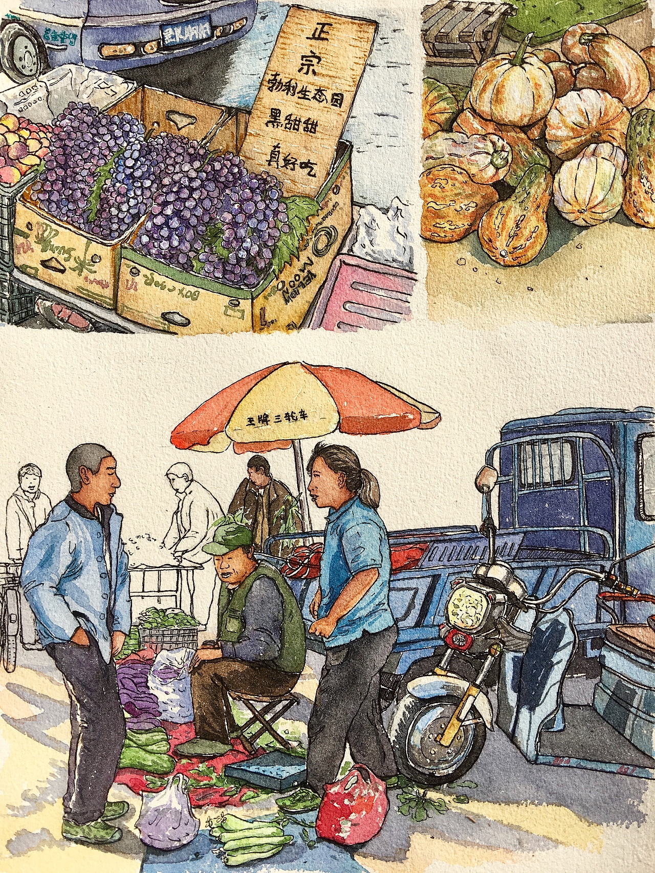 我的菜市场系列|插画|创作习作|z05215017_原创作品-站酷zcool