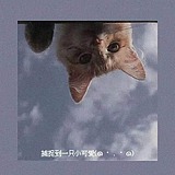 橙子味苹果的头像