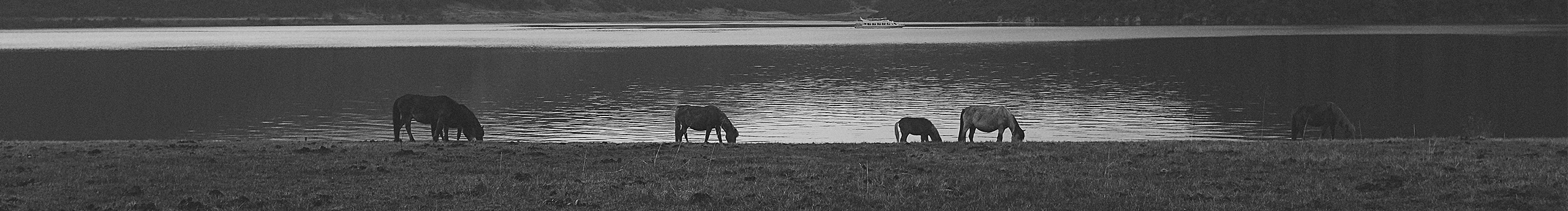 青檸丶的個人主頁（封面預(yù)覽） - 主頁封面設(shè)置 - 站酷設(shè)計師青檸丶原創(chuàng)素材 - 站酷ZCOOL