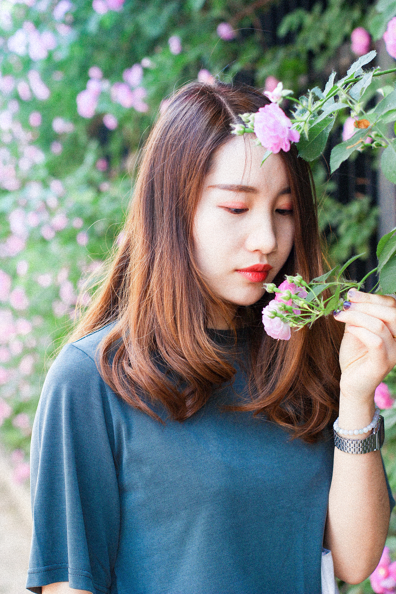 2018年5月份北京的蔷薇花和少女花花。