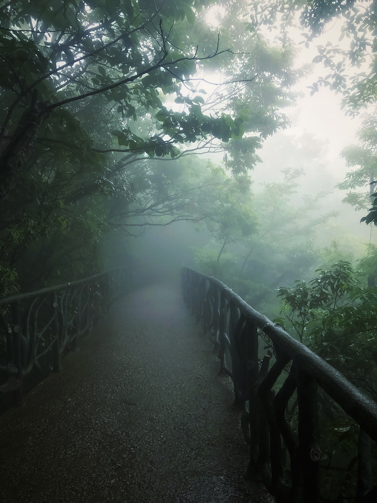 张家界——天门山国家公园