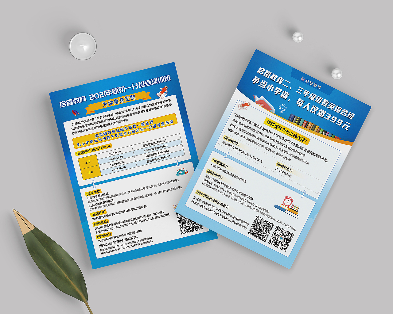 宣传单页 | 启望教育新初一分班考报名（图ZMjc2NjIzNTQw） - 宣传物料 - 站酷设计师设计师牛园原创素材 - 站酷ZCOOL