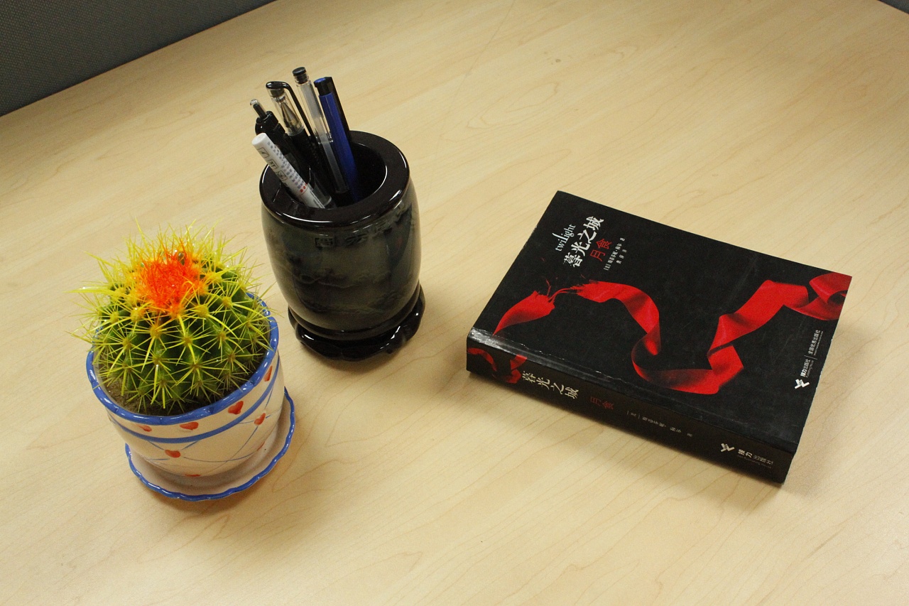 桌面一角|摄影|生态|tabbintam - 原创作品 - 站酷 (zcool)