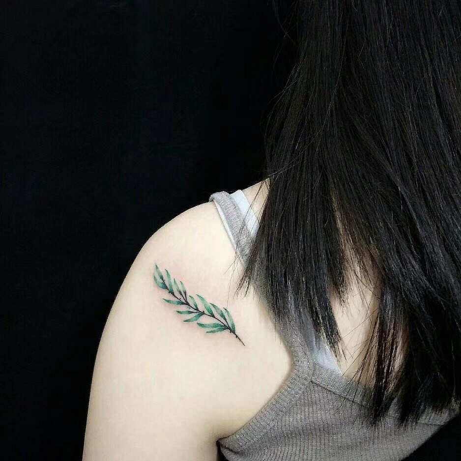 纹身 清新叶子|插画|新锐潮流插画|yyyyyoung - 原创作品 - 站酷