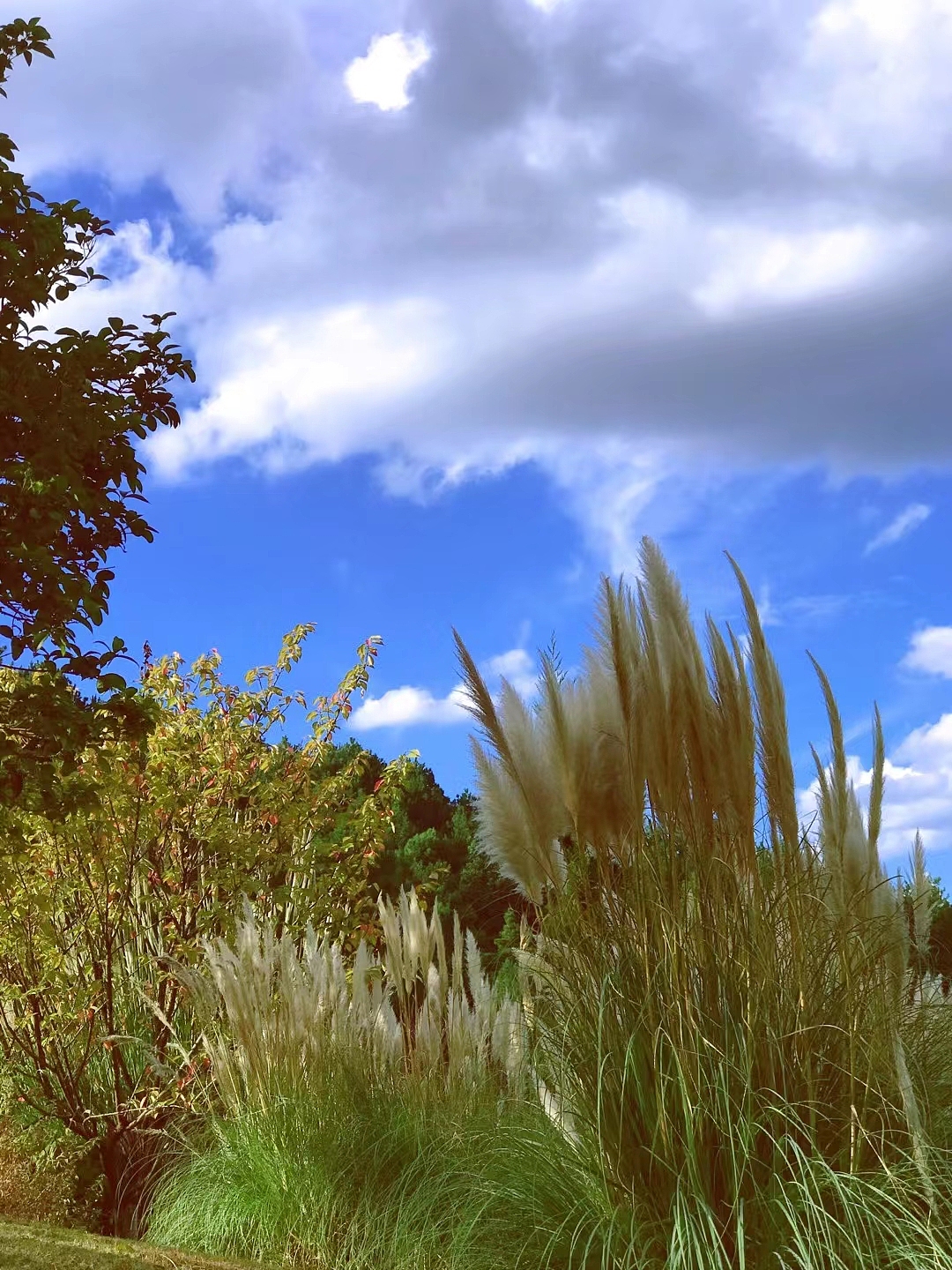 和秋天的第一场约会❤️