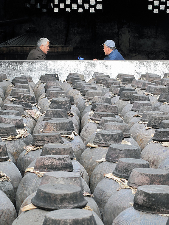 元旦乌镇游记二