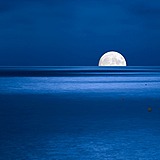 星河川的头像