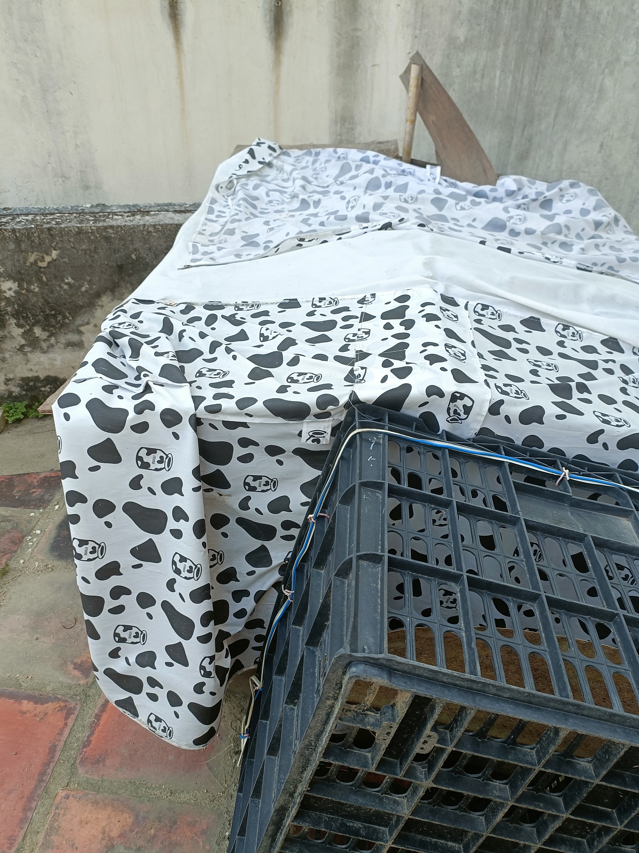 《心泛起了涟漪》