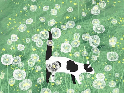 走過蒲公英田野的奶牛貓（個(gè)人主頁(yè)-ZNDUyNjk2NDg=） - 兒童插畫 - 站酷設(shè)計(jì)師Z78184015原創(chuàng)素材 - 站酷ZCOOL