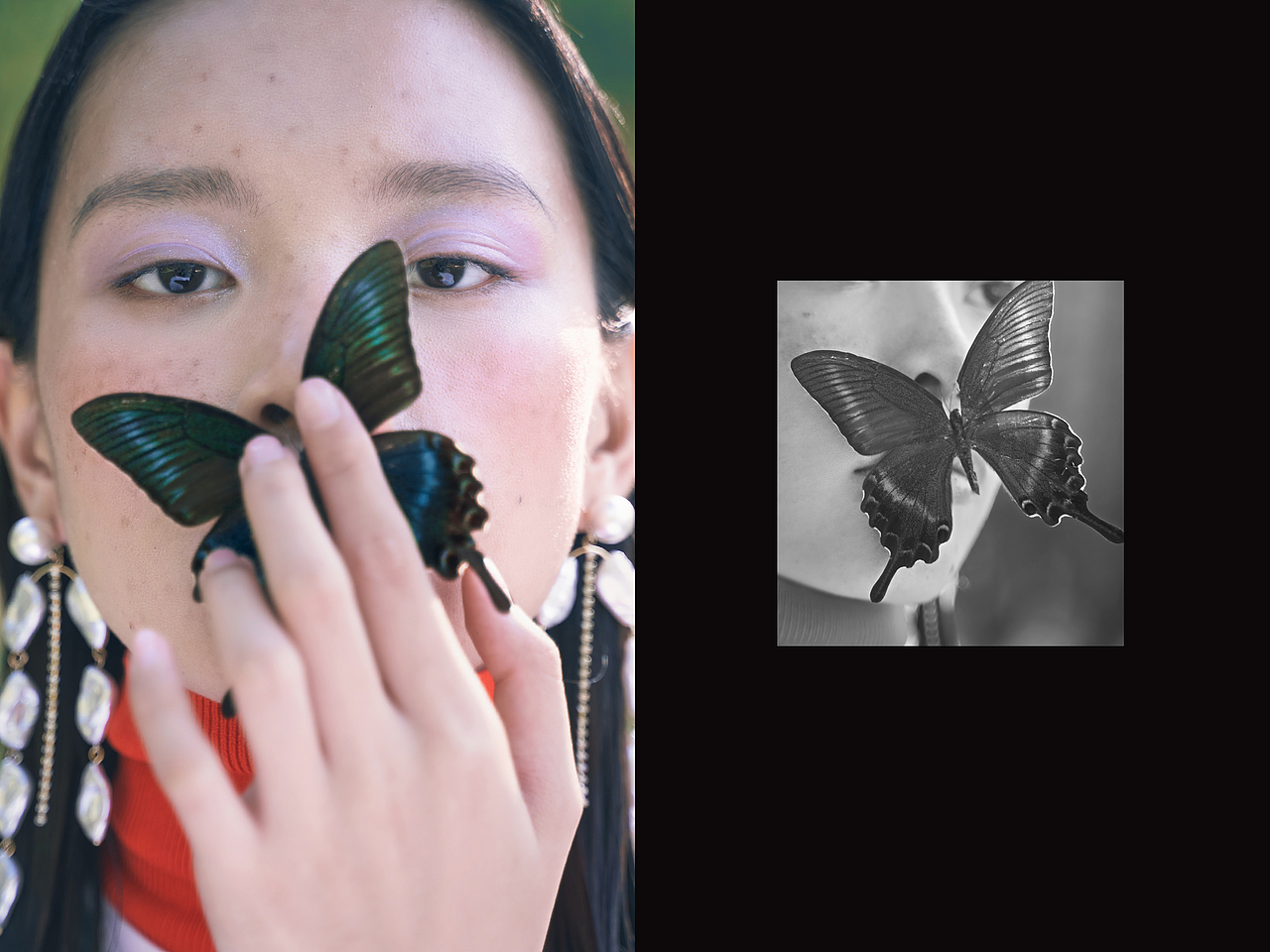 摄影创作|女孩 昆虫 花 大自然