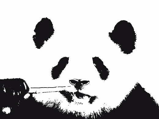 熊猫图案卫衣设计