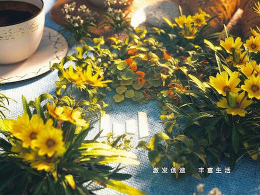 字节跳动-生活的种子