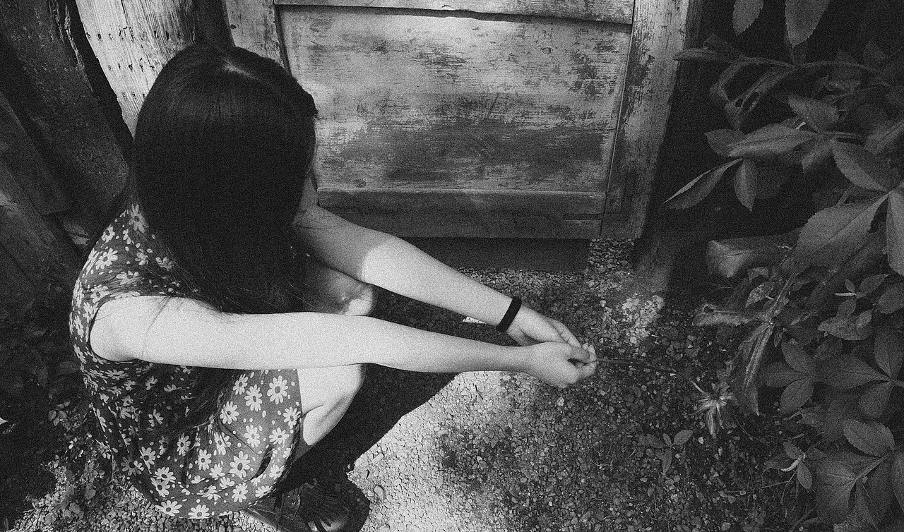 我曾经来过,抚慰过你的伤心