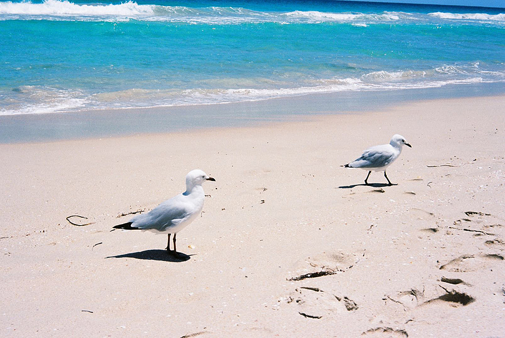 西澳大利亚-胶片摄影