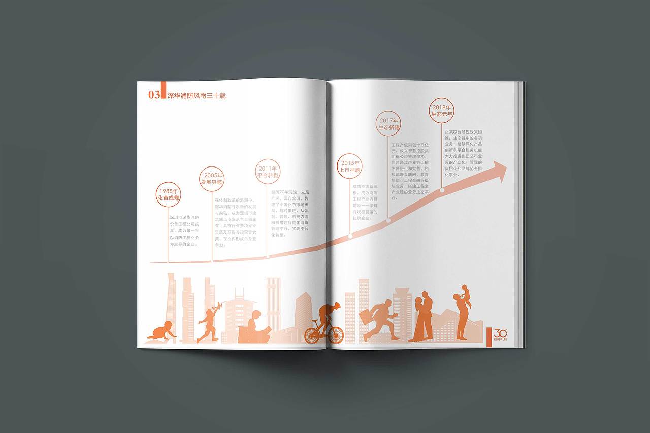 30周年画册/企业画册