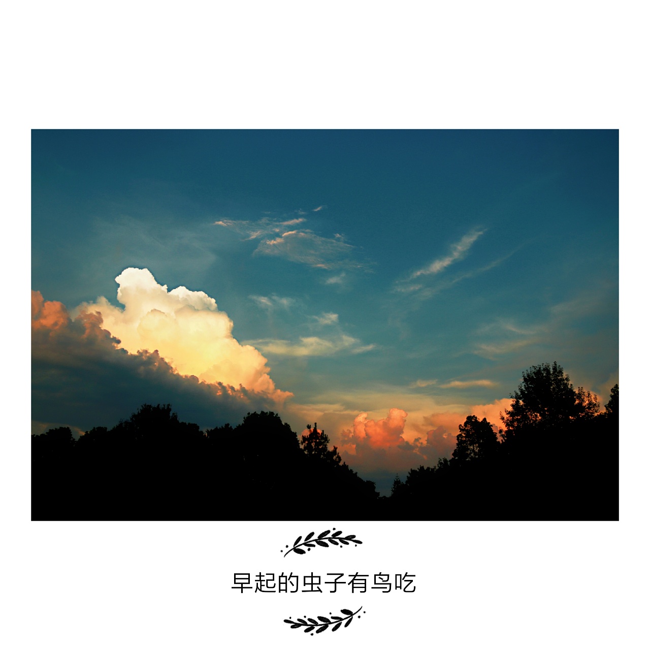 早起的虫子有鸟吃