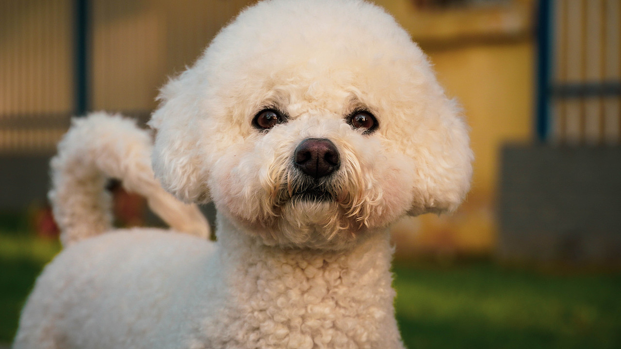 街拍|雨后小城（图ZMjA1NzM4NjI0） - 人文/纪实摄影 - 站酷设计师wasabi安安安琪原创素材 - 站酷ZCOOL