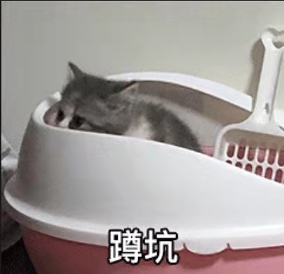 排队蹲坑（图ZMjY1NTA2NzE2） - 图案 - 站酷设计师晒不到太阳的人原创素材 - 站酷ZCOOL