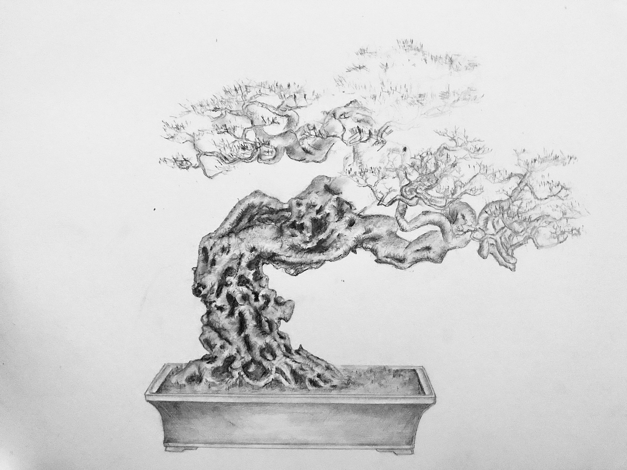 手绘盆景（图ZMTUxMTI0OTU2） - 像素画 - 站酷设计师Z75835907原创素材 - 站酷ZCOOL