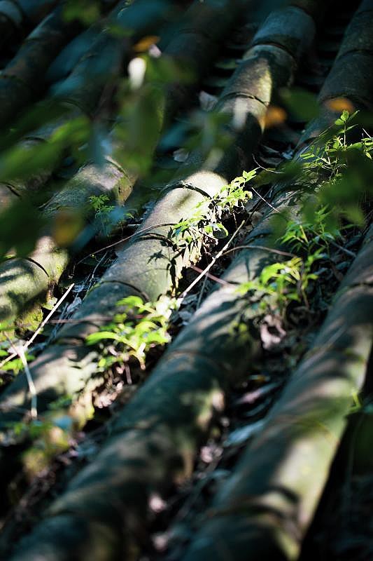 知晓山居民宿空间摄影（图ZMzAxNTg3Njk2） - 环境/建筑摄影 - 站酷设计师酒店民宿空间摄影原创素材 - 站酷ZCOOL