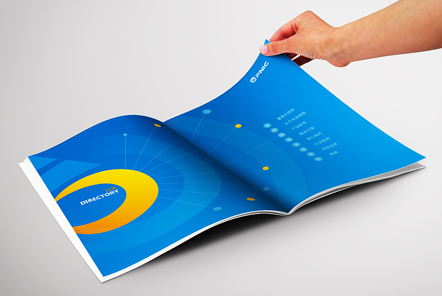 网络技术 互联网科技画册 软件大数据解决方案画册