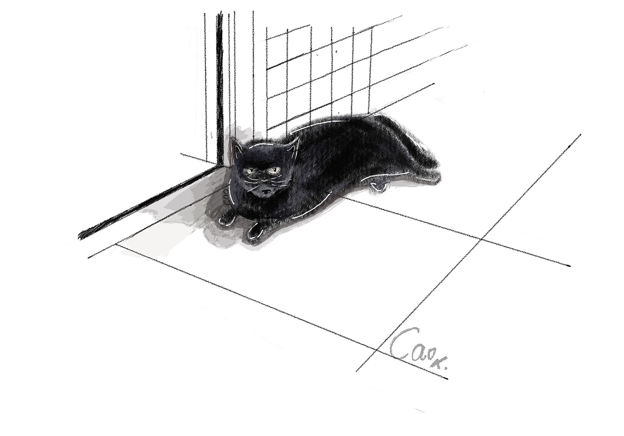 今天是小霸王啦有點(diǎn)兇兇@（圖ZMjY2MDU5NzM2） - 創(chuàng)作習(xí)作 - 站酷設(shè)計(jì)師端水清清原創(chuàng)素材 - 站酷ZCOOL